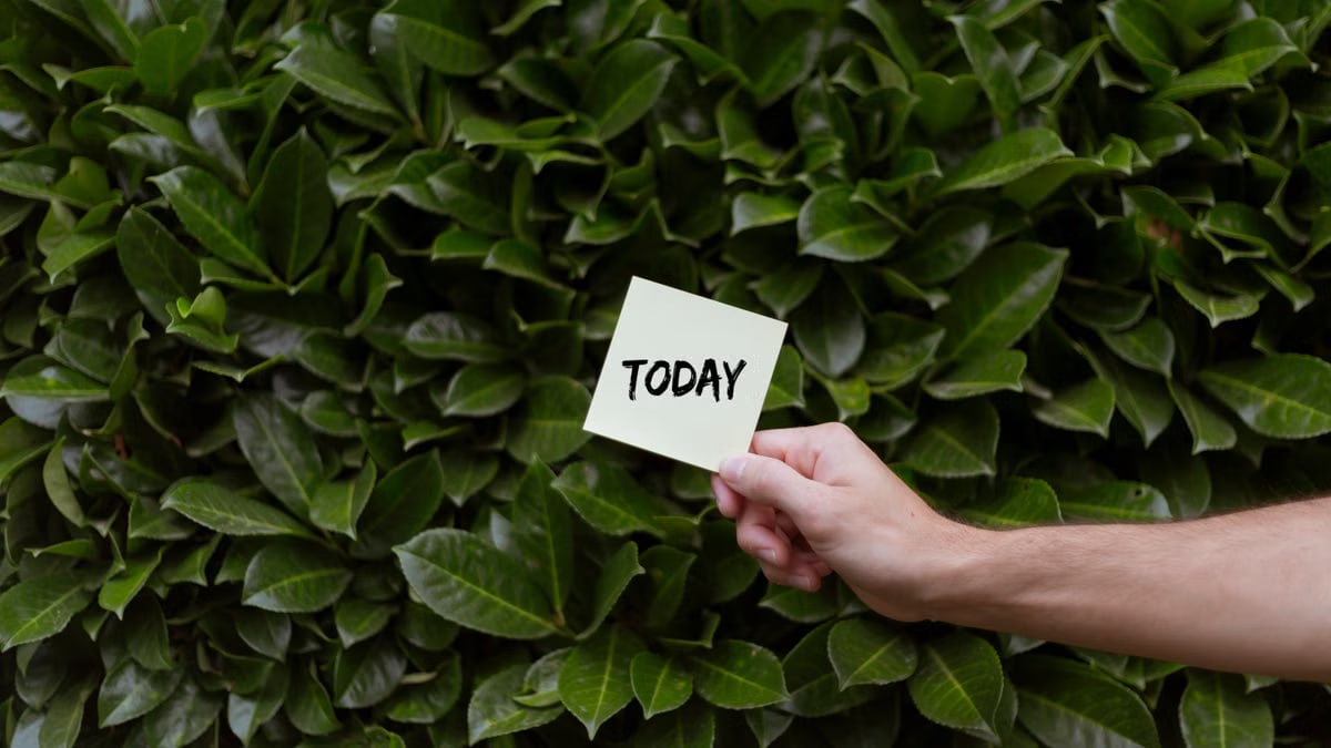 A person holding a note with 'Today' against a lush green background.